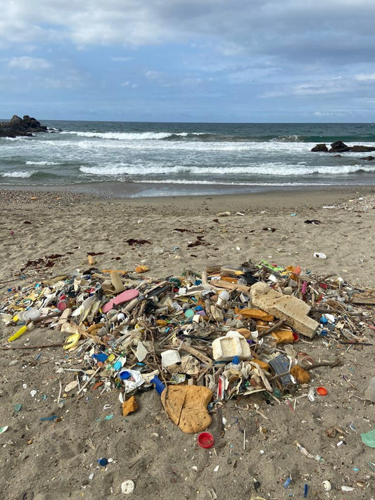 Beach Clean up